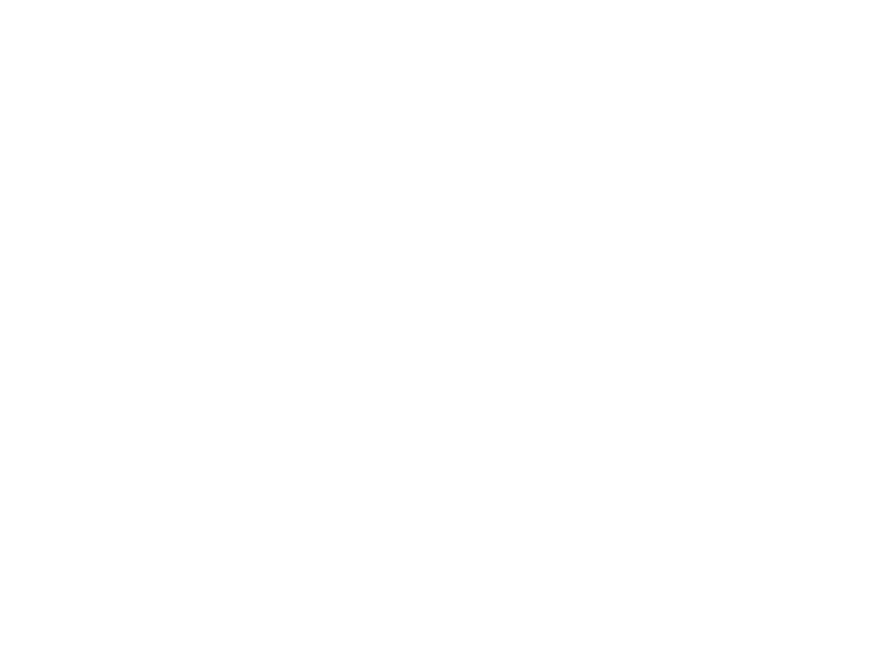 Begley Masonry & Chimney