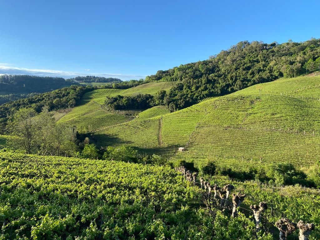 Imagem Publicação 1 Blog