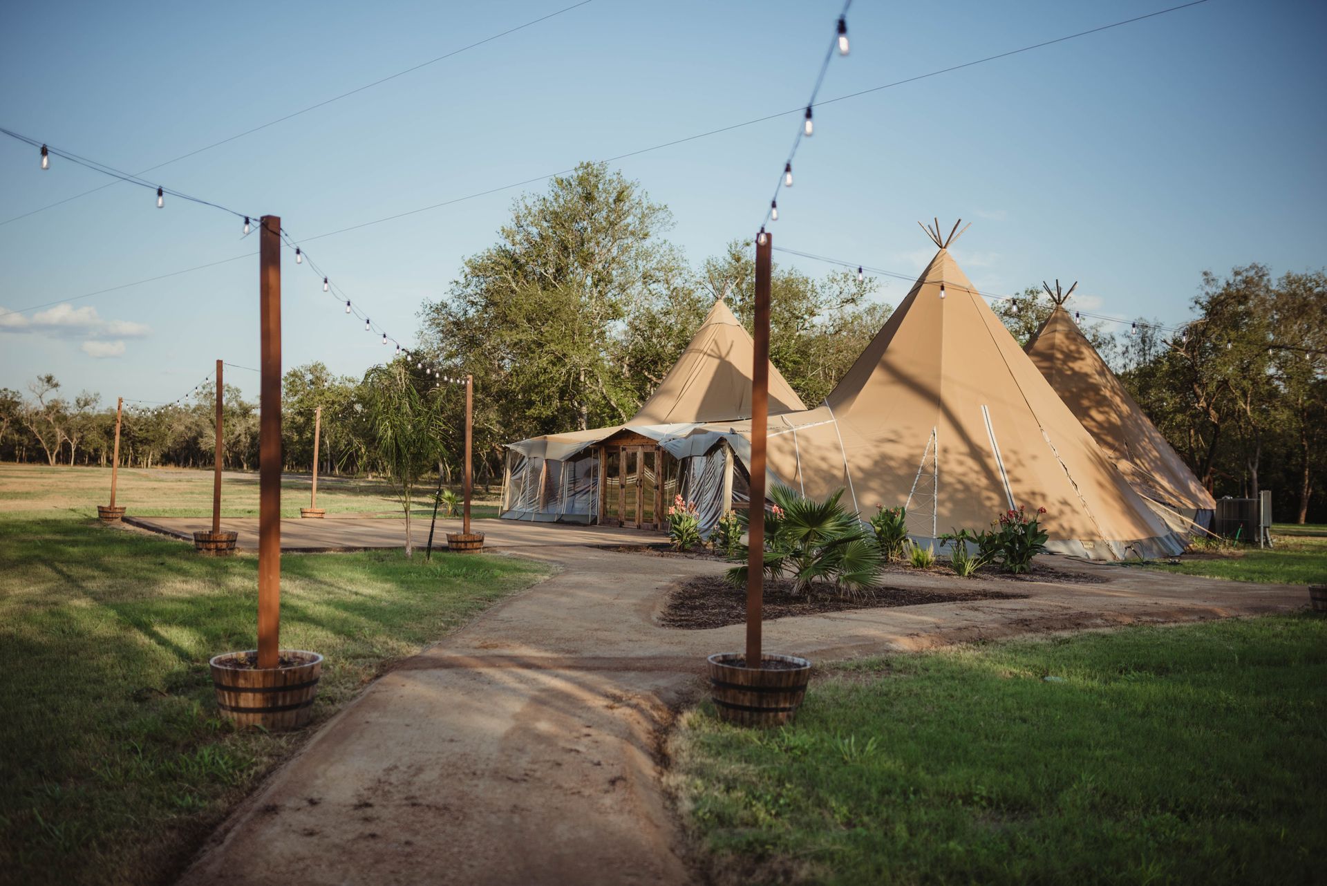 Pathway to rustic teepees under string lights in a grassy field, with trees in the background.