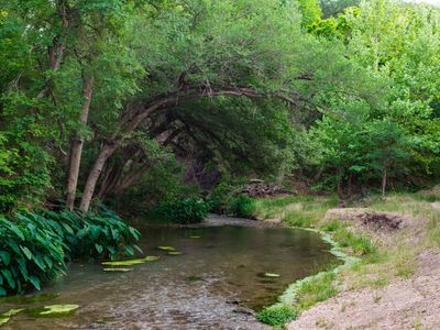 Evergreen Creek