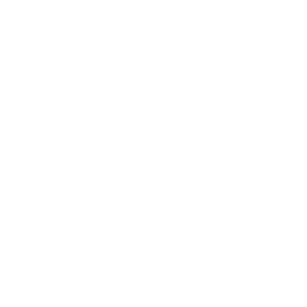 Blank white image