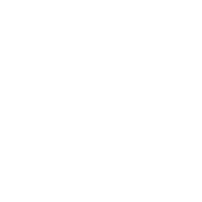 Blank white image