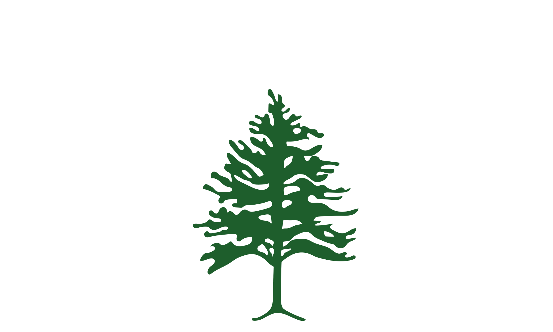 Arborway Tree Care Logo White