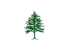 Arborway Tree Care Logo White