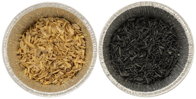 Rice Husk