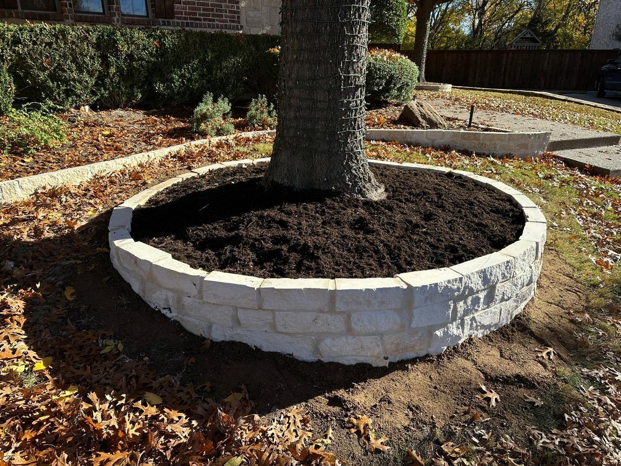 Circular stone wall surrounds a tree base filled with dark mulch, in a yard with fallen leaves.