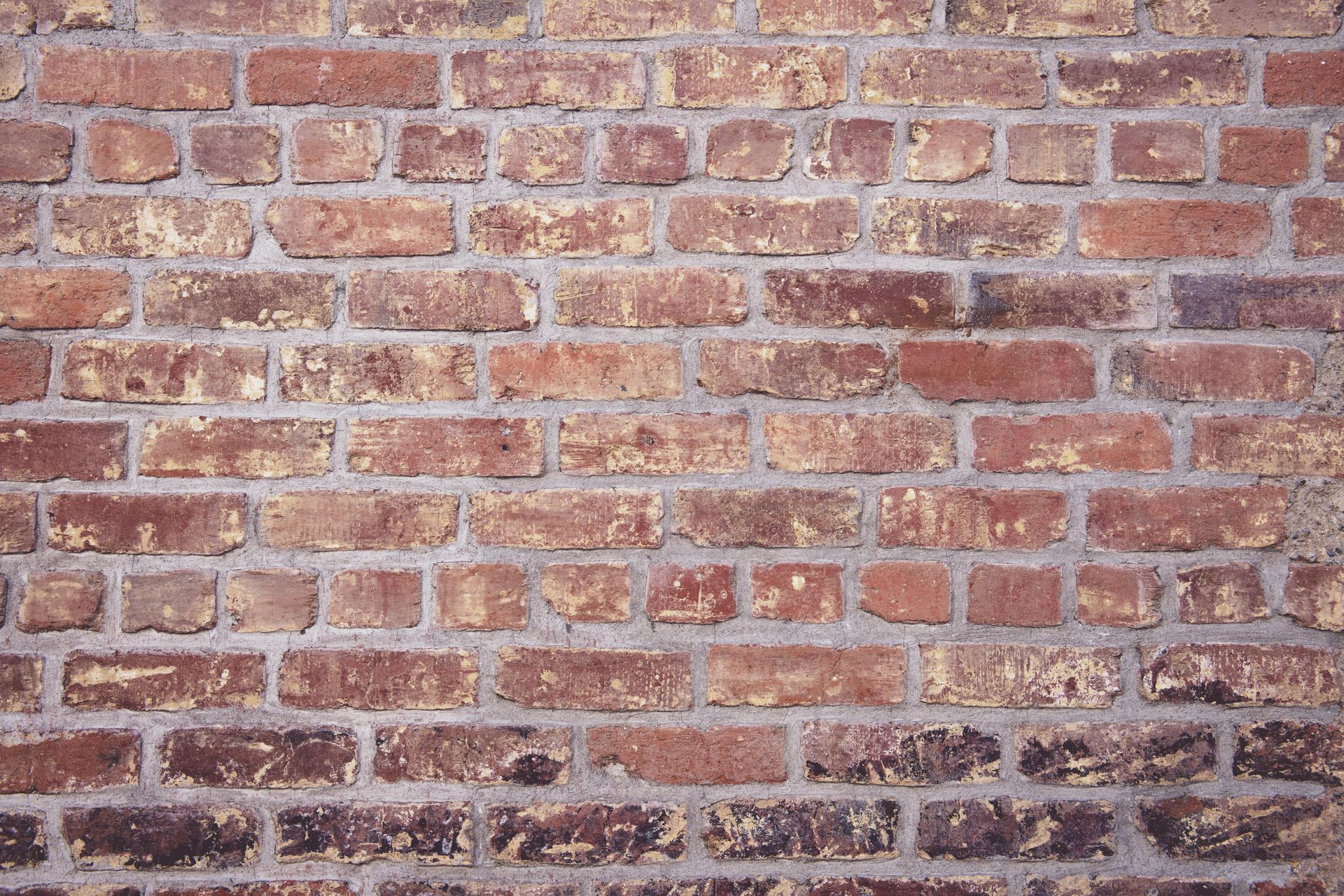 A close up of a brick wall with a lot of bricks