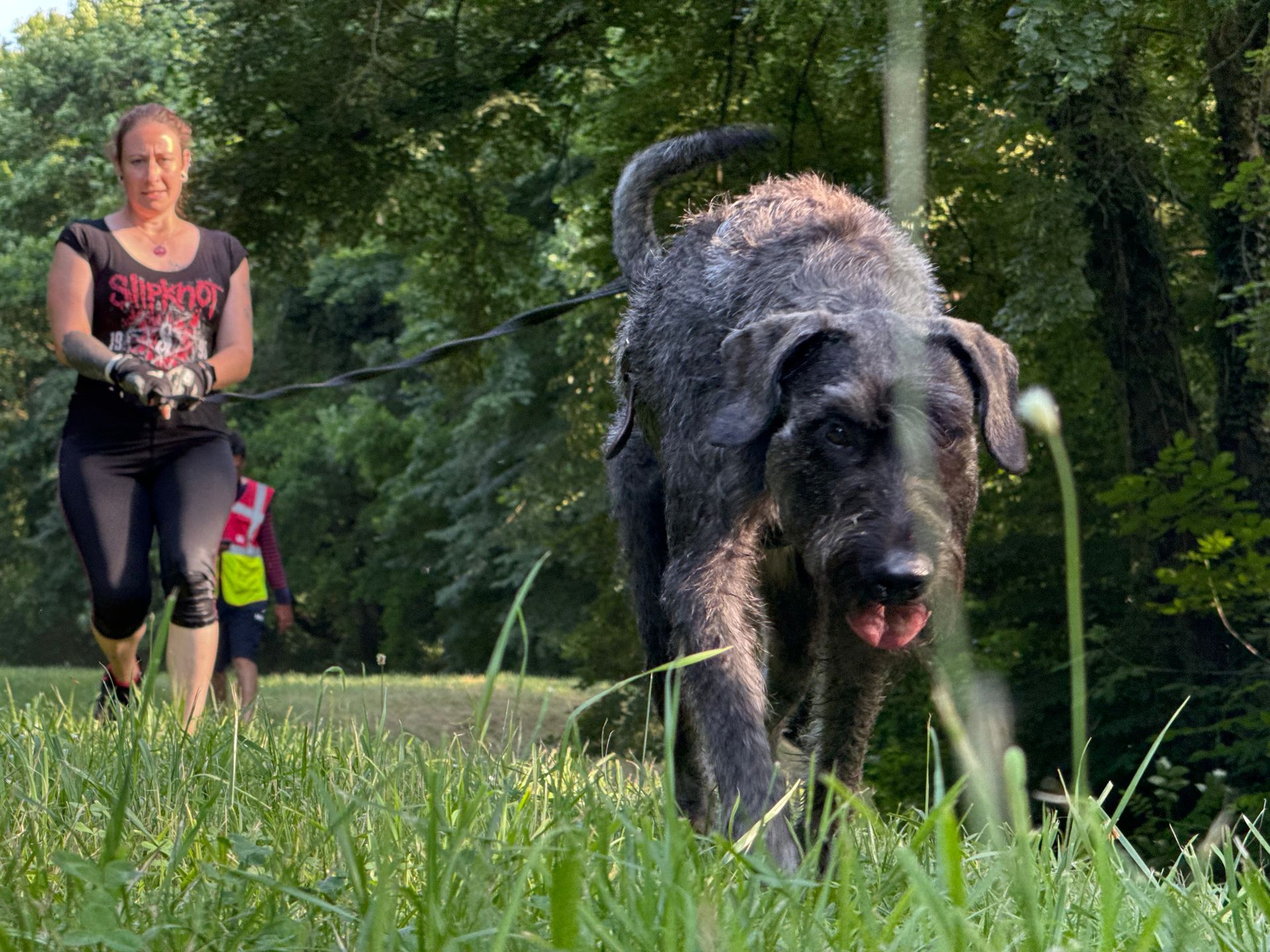 Schnüffelgruppe - Nasenarbeit mit Köpfchen