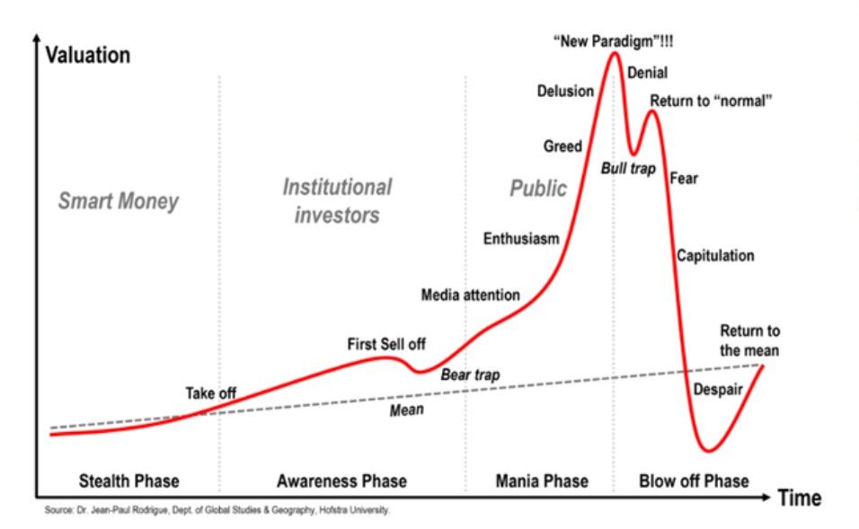 Anatomy of a stock market bubble