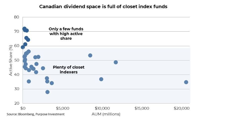 Closet index funds