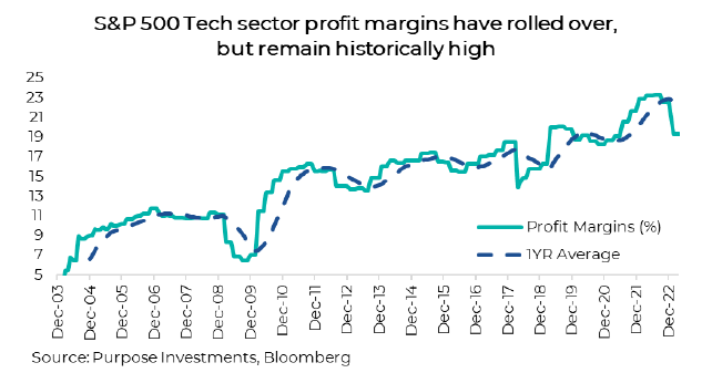 S&P 500 Tech profits
