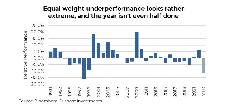 Equal weight portfolios have underperformed