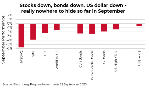 Stocks Down, Bonds Down, USD Down