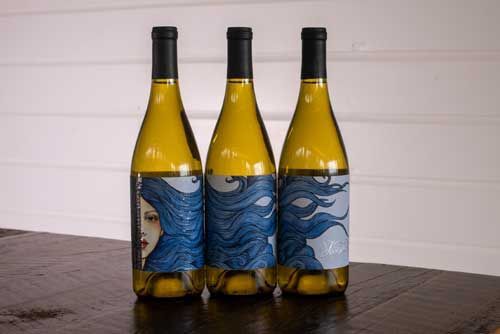 Three bottles of wine are sitting on a wooden table.