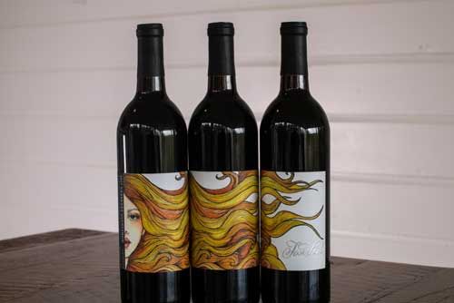 Three bottles of wine are sitting on a wooden table.