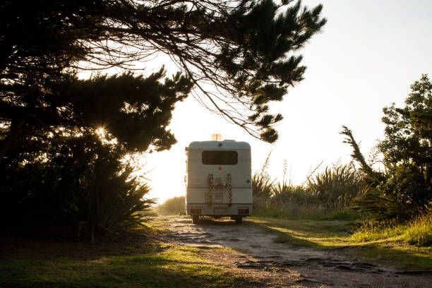 Old campervan driving down a dirt road towards the sun, framed by trees and foliage.