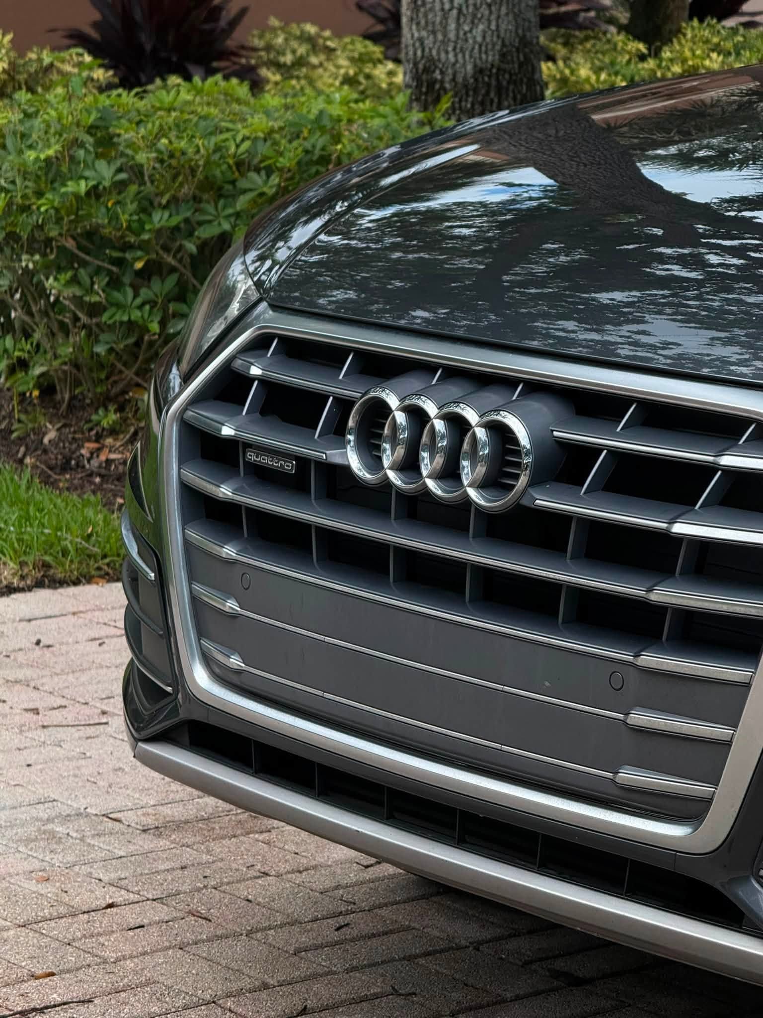 Front grille of a black Audi parked outdoors on a brick driveway, with greenery in the background