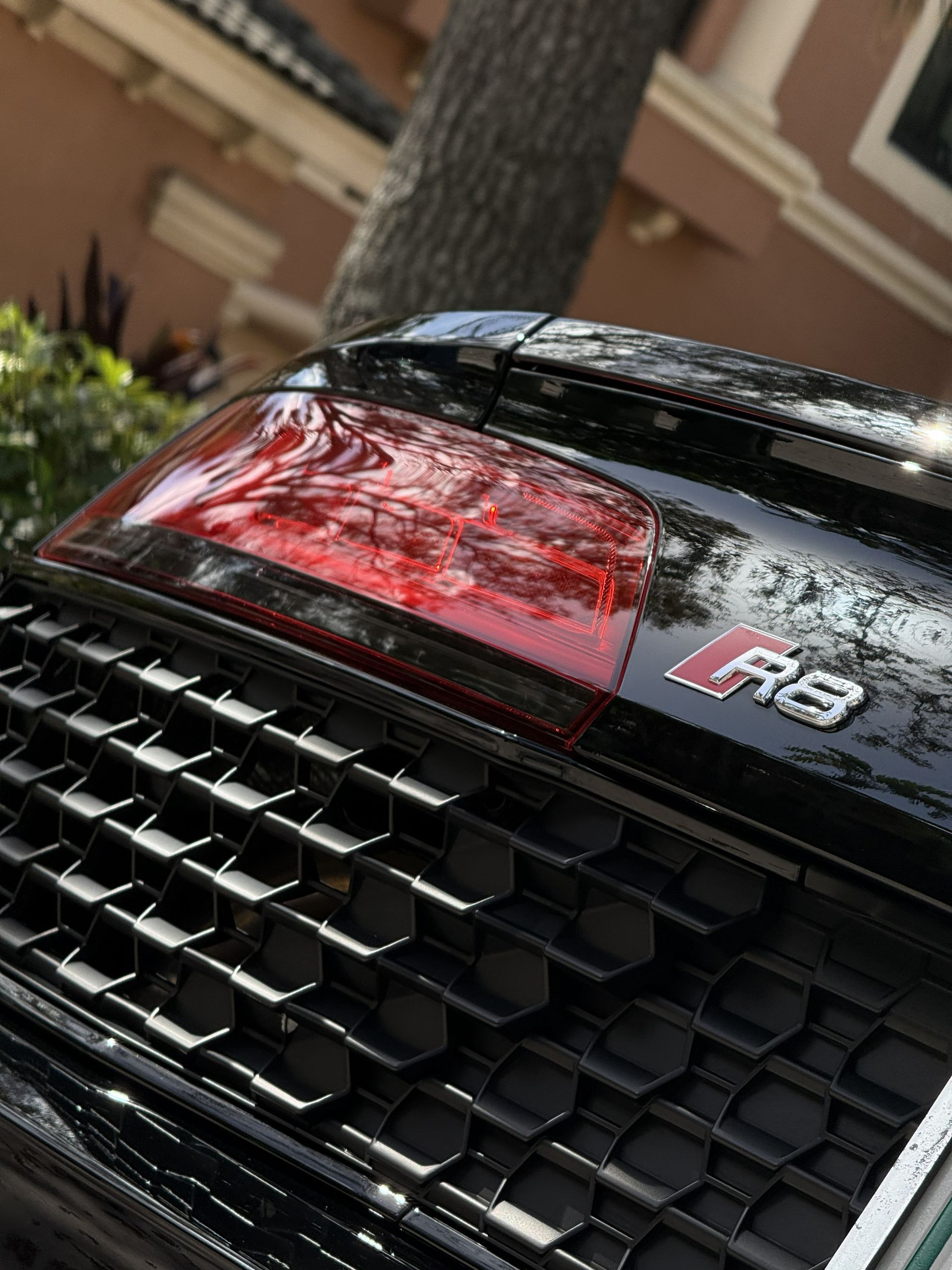Close-up of the rear tail light and honeycomb grille of a black Audi R8, angled outdoors with a tree in the background.