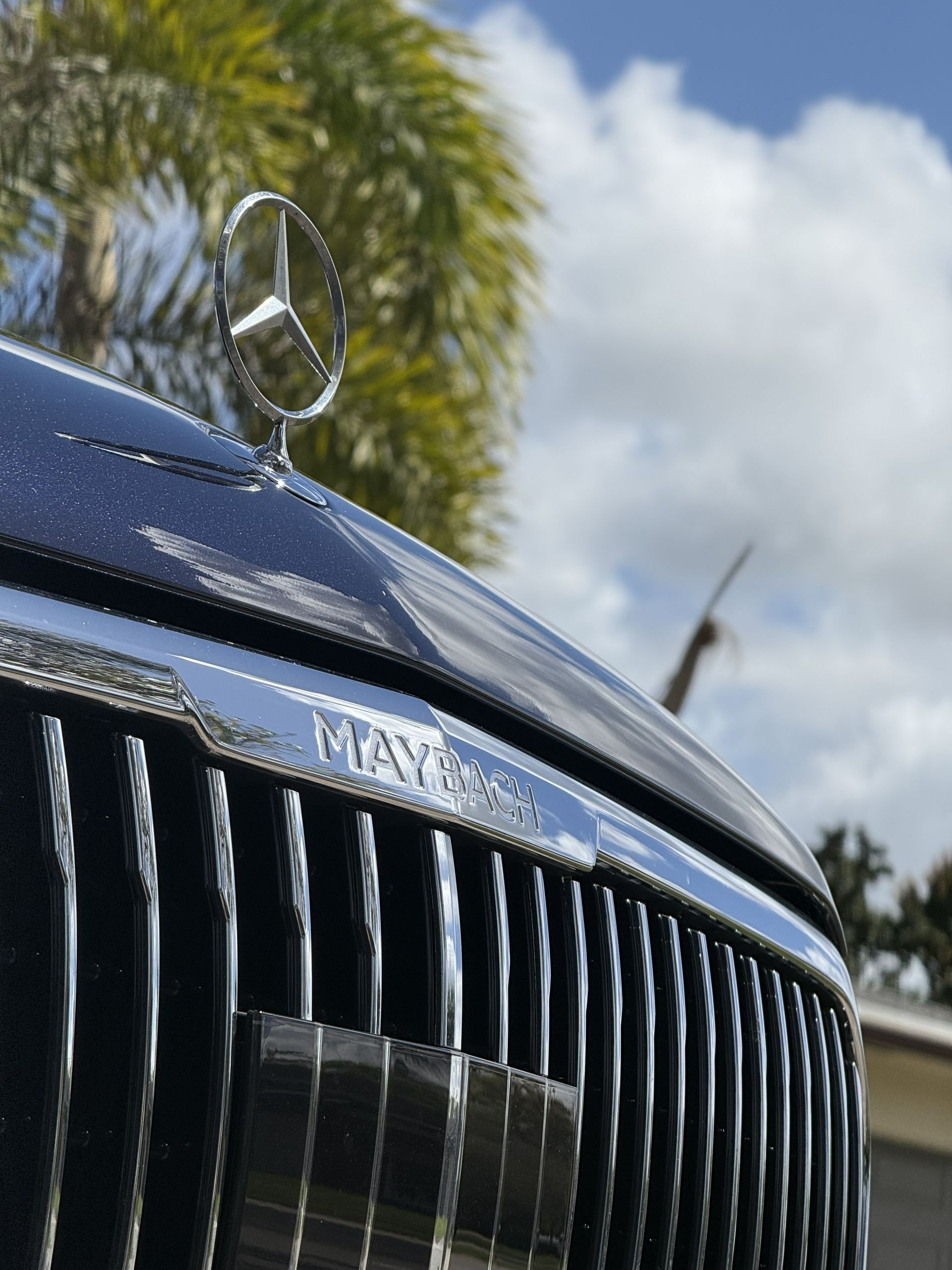 Close-up of a Mercedes-Maybach hood ornament and chrome vertical grille against a blue sky with palm trees.