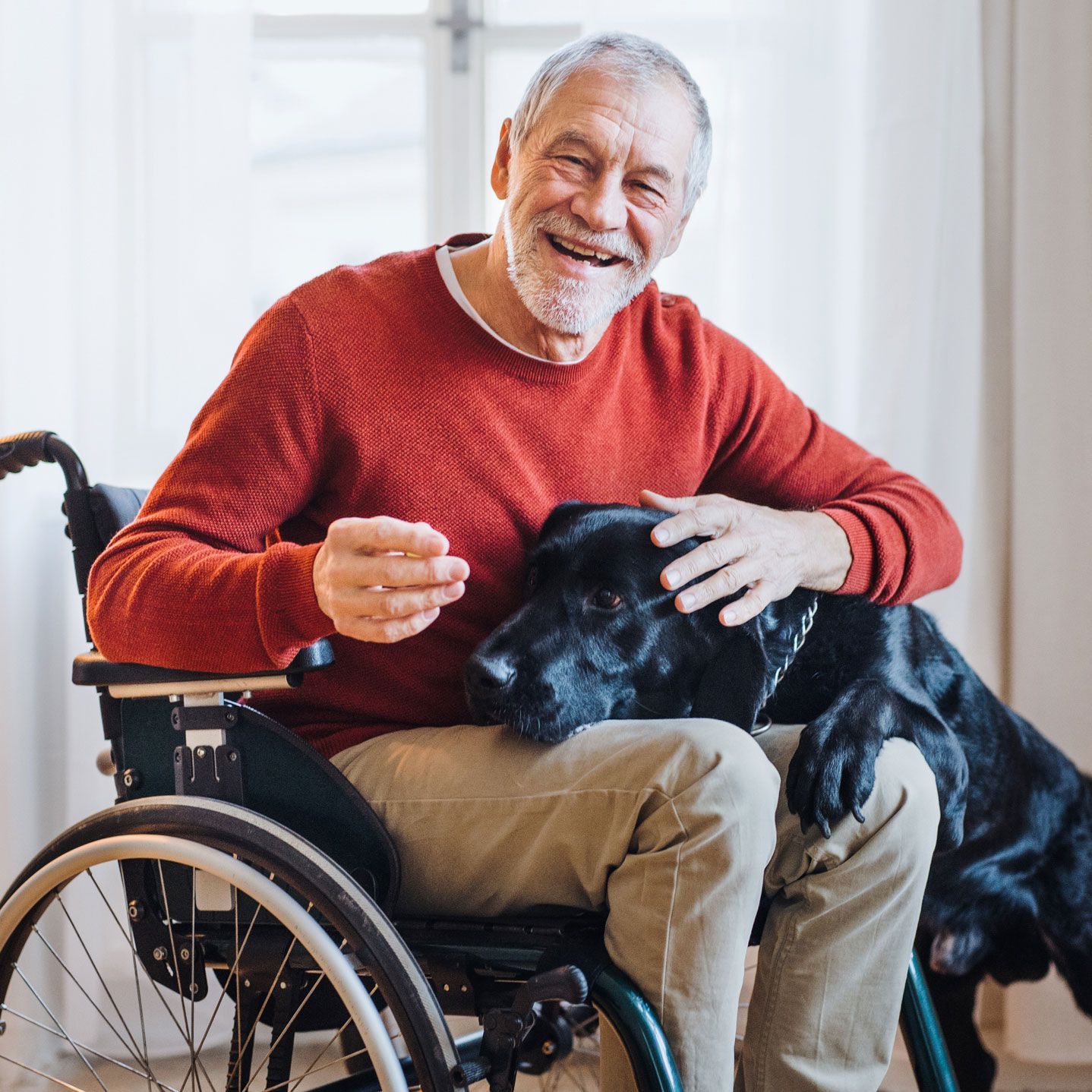 Elderly man in wheelchair smiling, petting black dog. Indoor setting, red sweater, beige pants.