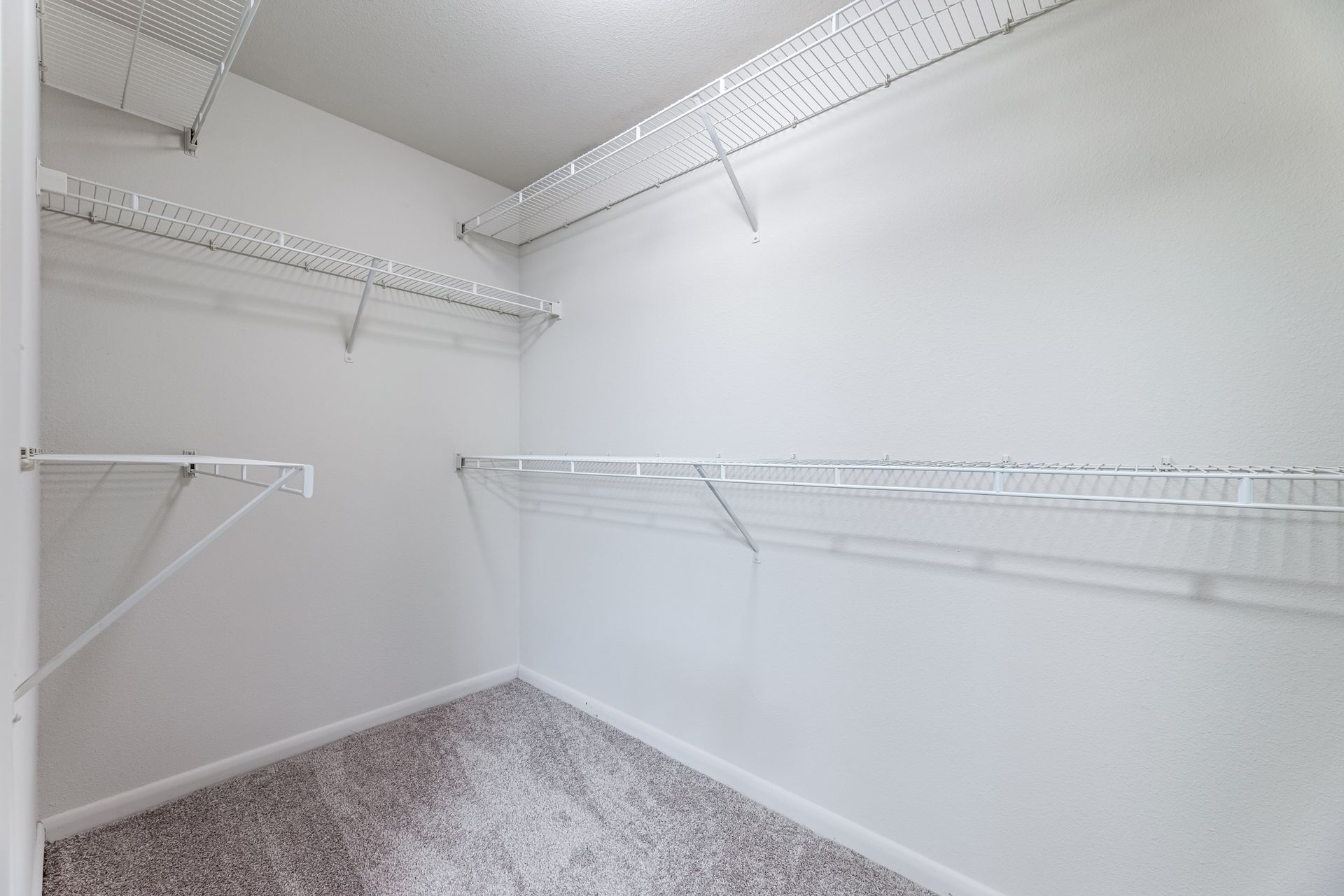 An empty walk-in closet with white shelves and a carpeted floor at Parkside at Craig Ranch.