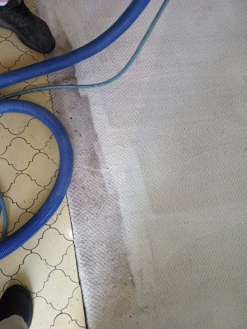 A person is cleaning a carpet with a vacuum cleaner.