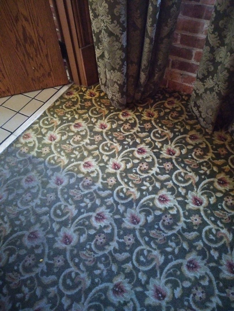A green carpet with a floral pattern is on the floor in a room.