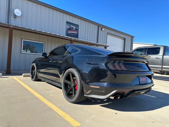 a black mustang is parked in a parking lot in front of a building .