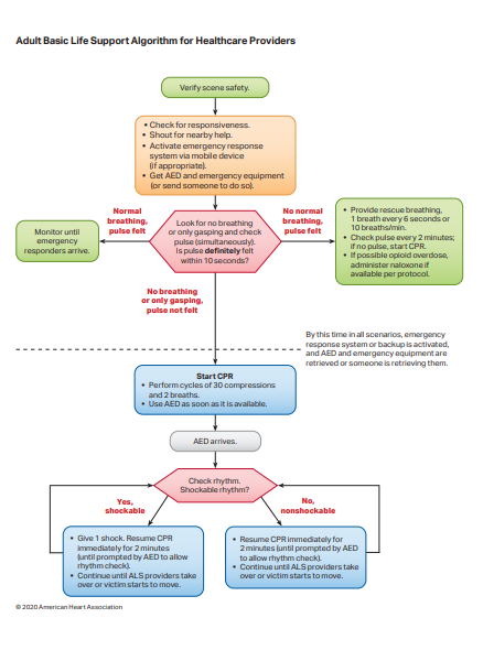 basic cpr written test