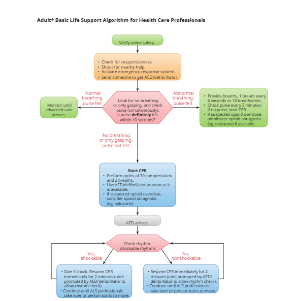 American Heart Association 2026- 2027 CPR Cheat Sheet