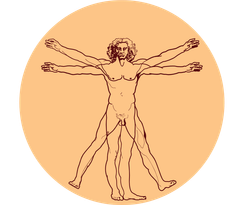 Bloom Therapy and Wellness Logo
