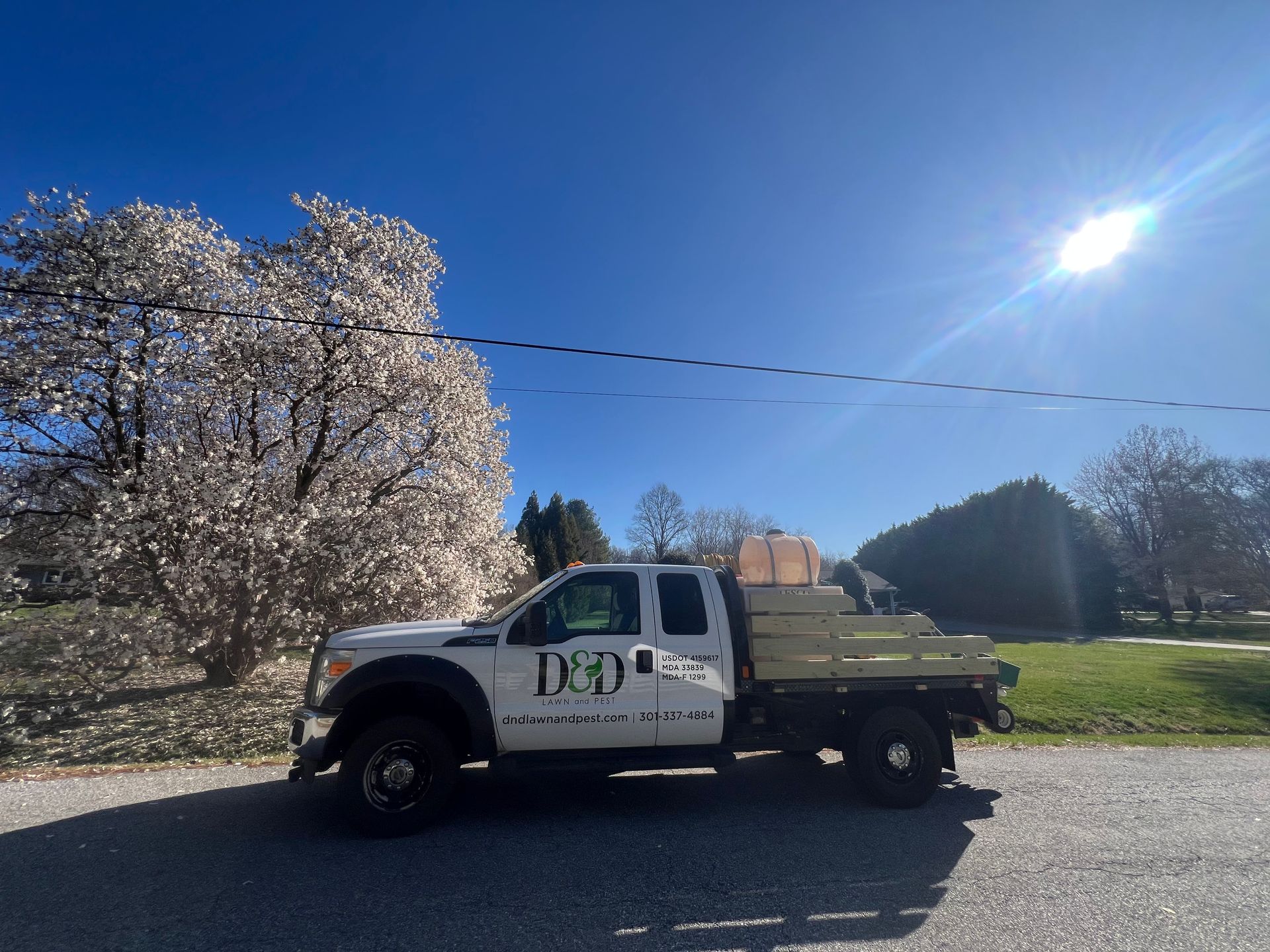 White work truck parked on a road, beside a flowering tree, under a bright, sunny blue sky.