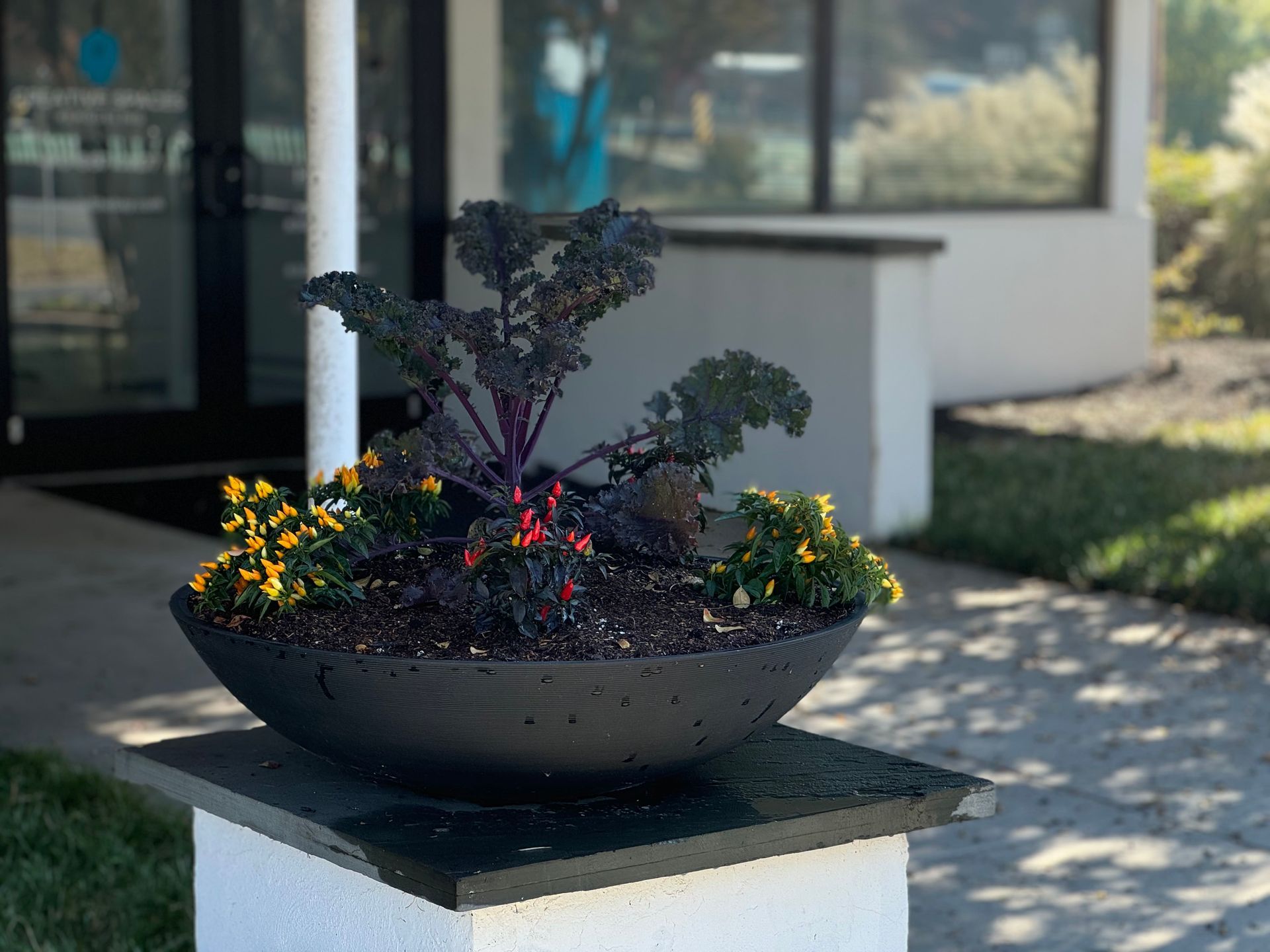 Dark planter filled with kale and yellow flowers on a white pedestal, in front of a building.