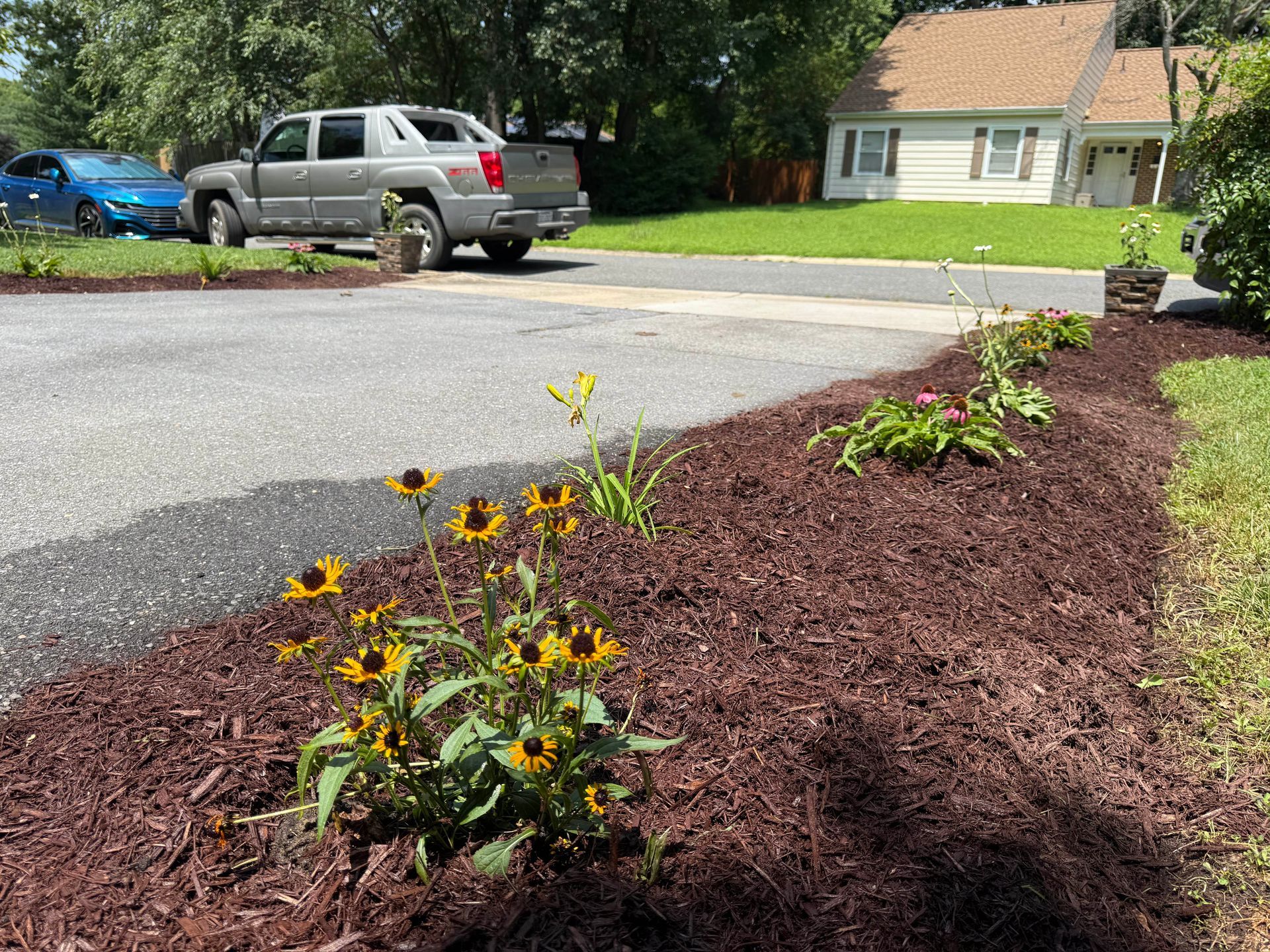 Driveway with mulched flower bed and blooming black-eyed Susans, car parked nearby, and house in background.