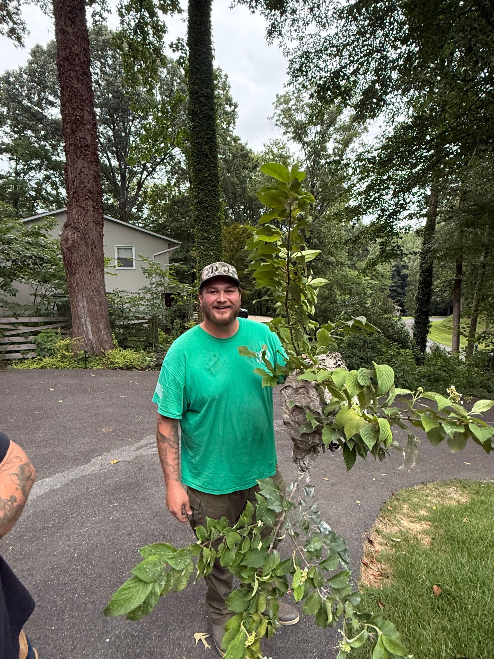 Man in green shirt smiles, holding leafy branch. Outdoors, paved driveway, trees in background.