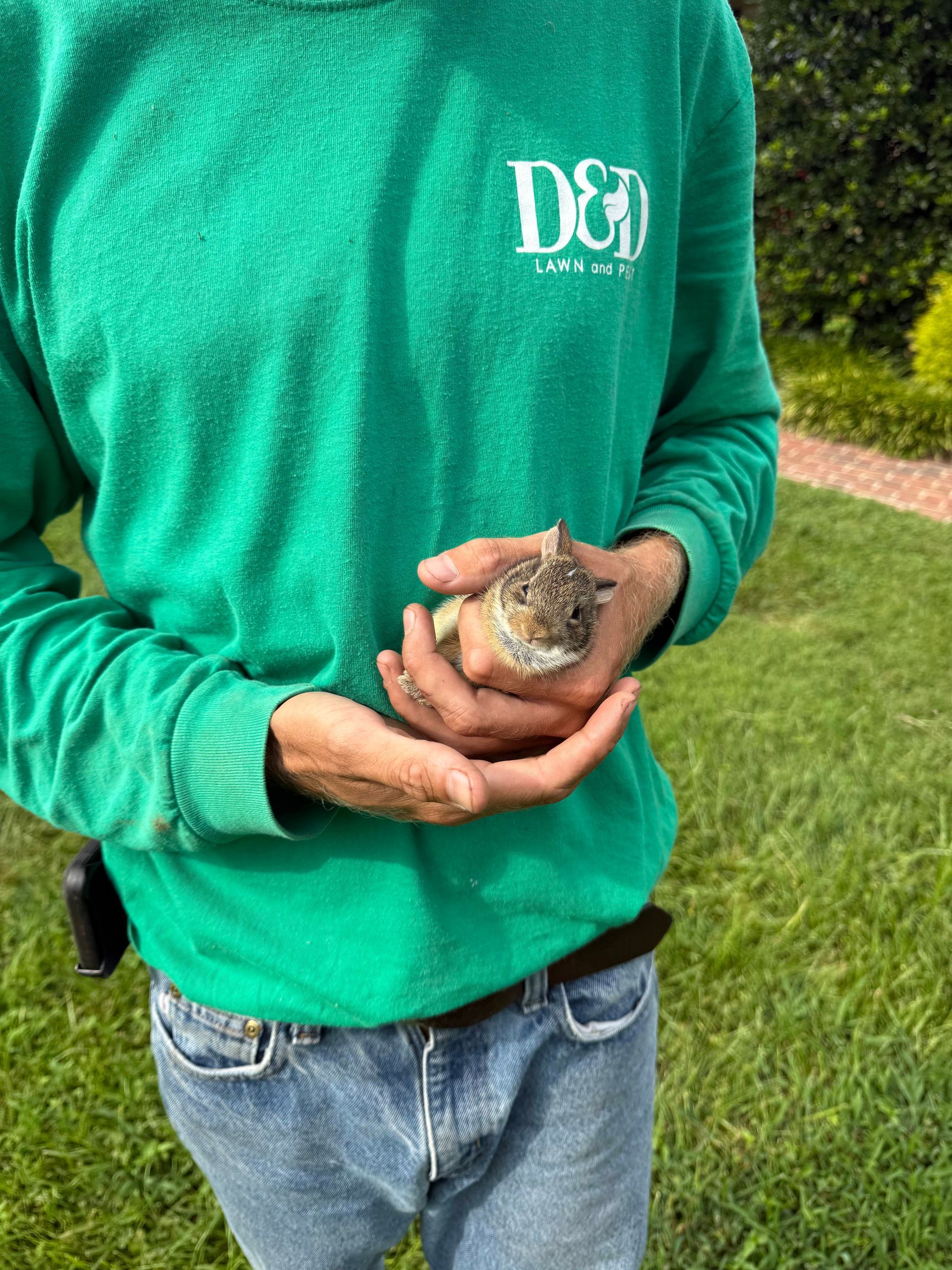 Person in green sweater and blue jeans holding a small, light-colored animal in their hands.