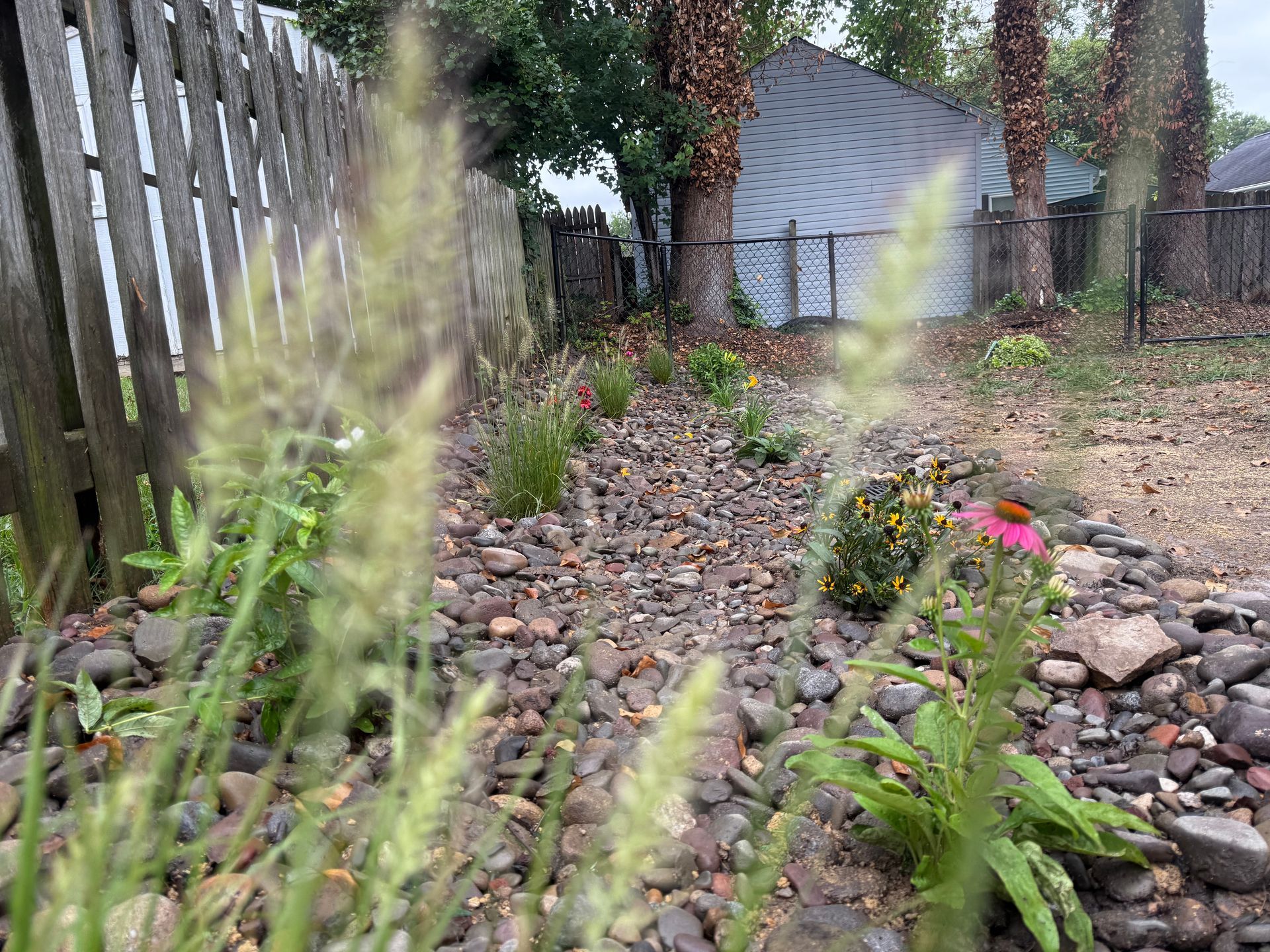 A small rock garden with plants and a wooden fence; a building is in the background.