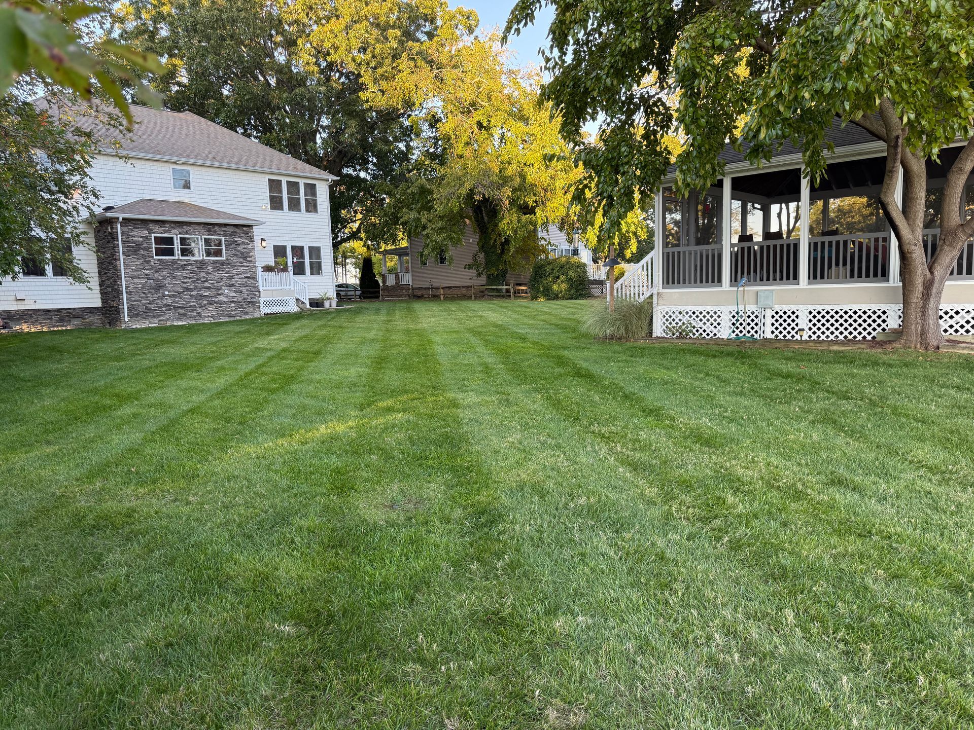 Green lawn with striped mowing pattern, houses, and trees on a sunny day.