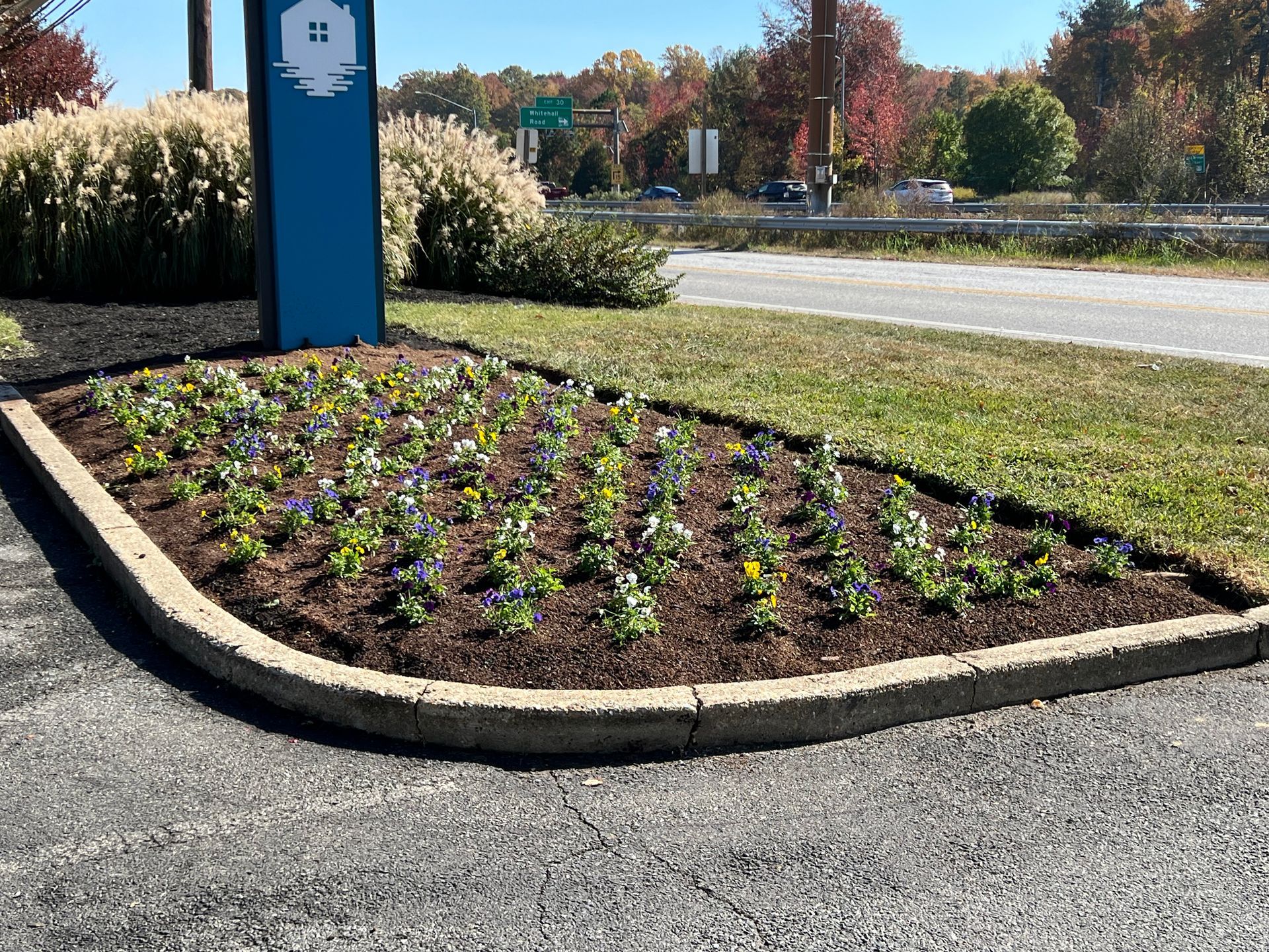 Flower bed with blue sign, bordered by concrete curb.