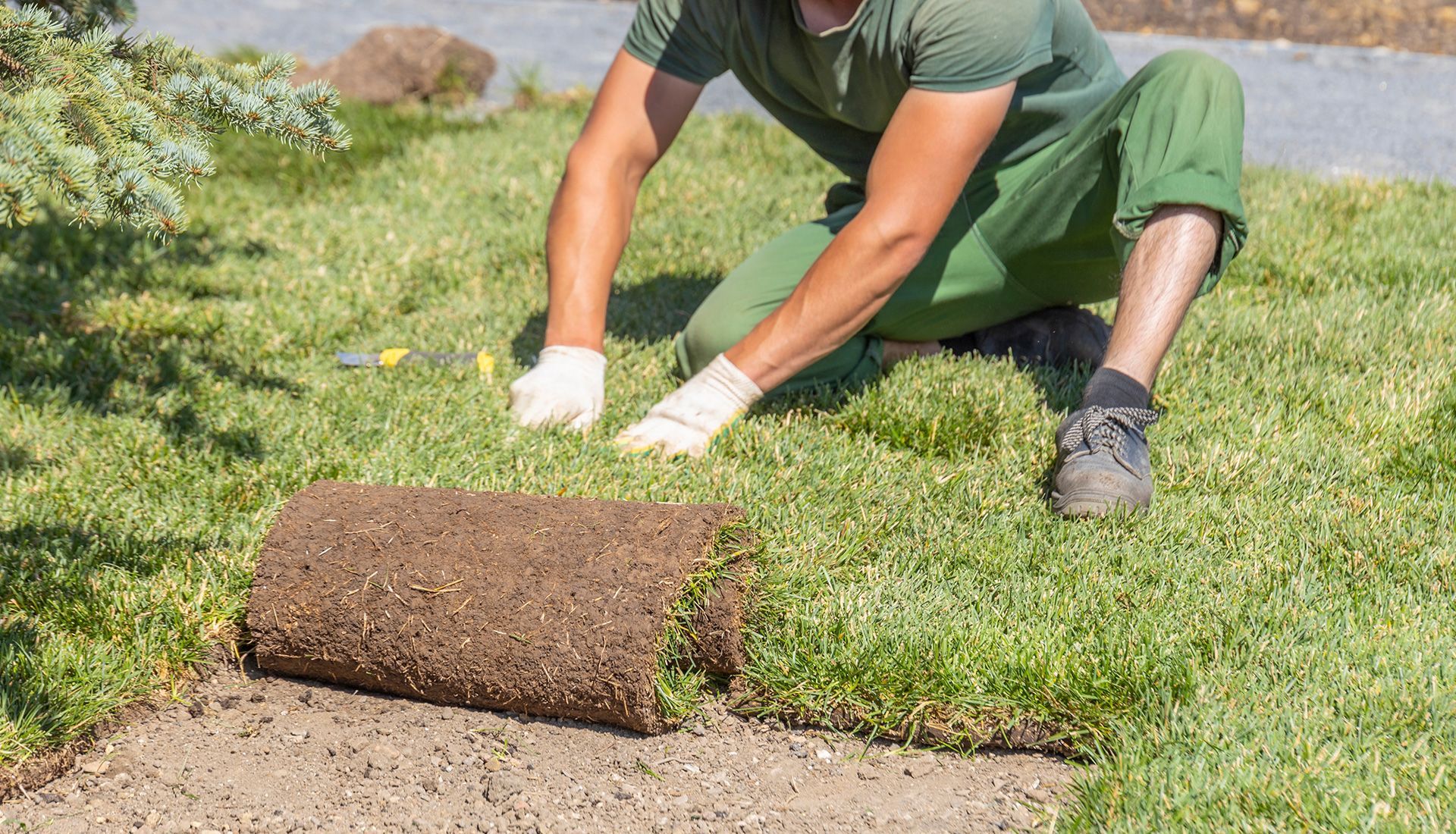 Man kneeling, unrolling sod on a grassy lawn. Green clothing, white gloves, sunny outdoor setting.