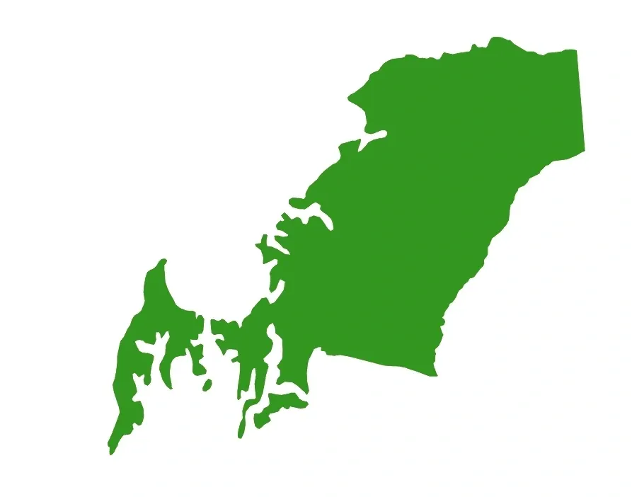 Green silhouette of the Brazilian state of ParĂ¡.