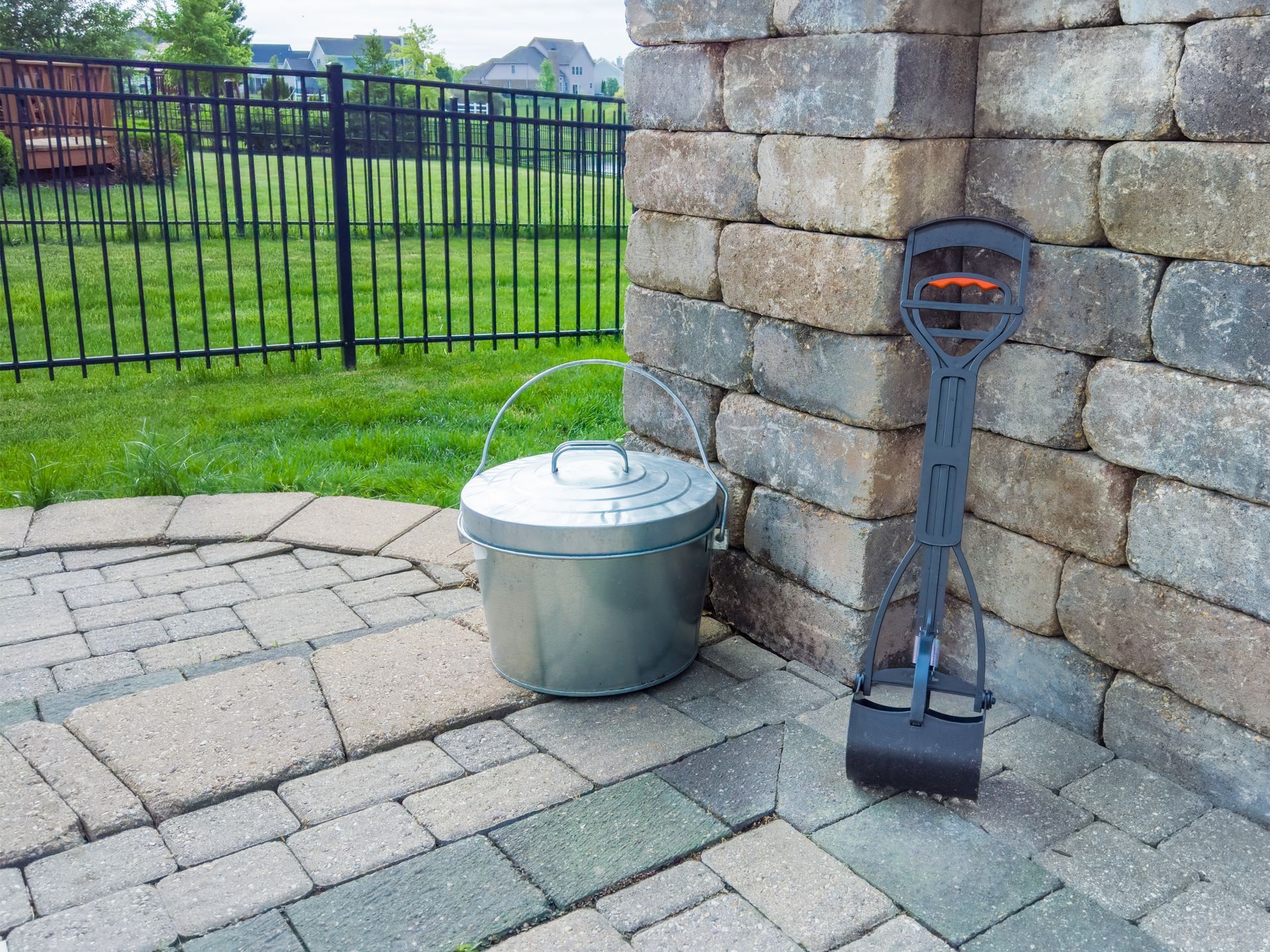 Dog on leash sniffing grass in a park; person holding leash and waste bags.