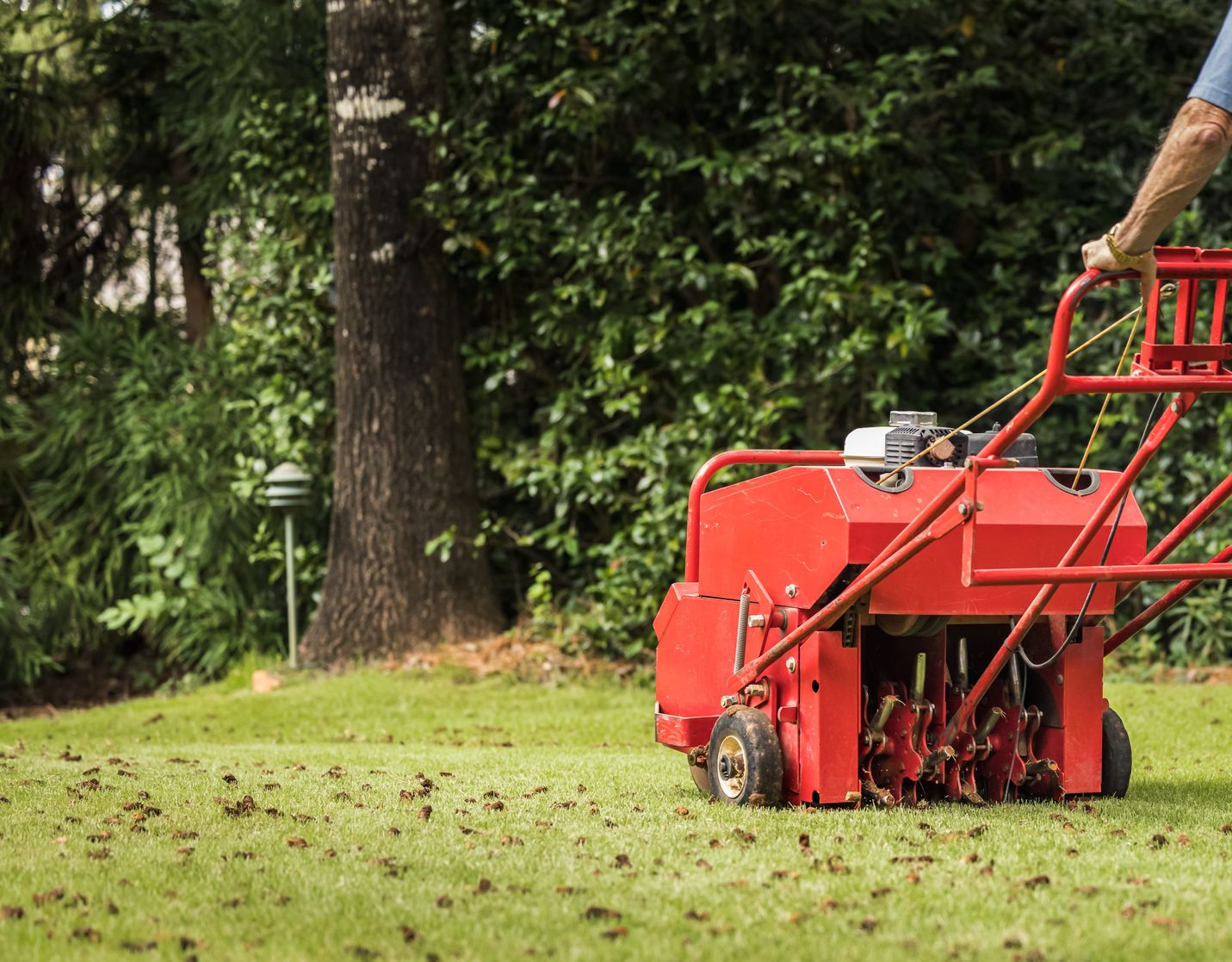 Aerator tines extracting soil cores from a green lawn.