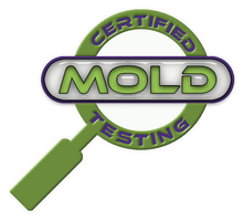 free mold inspections