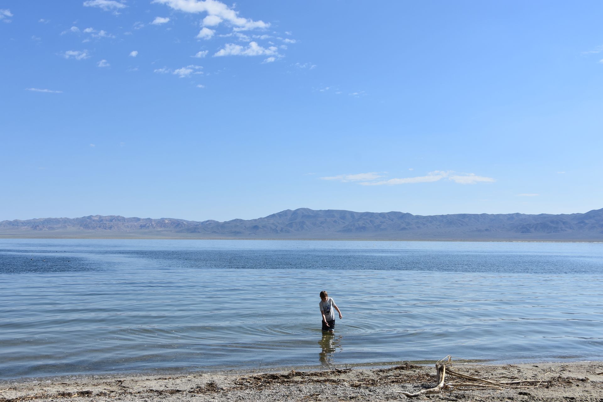A person is standing in the water on a beach.