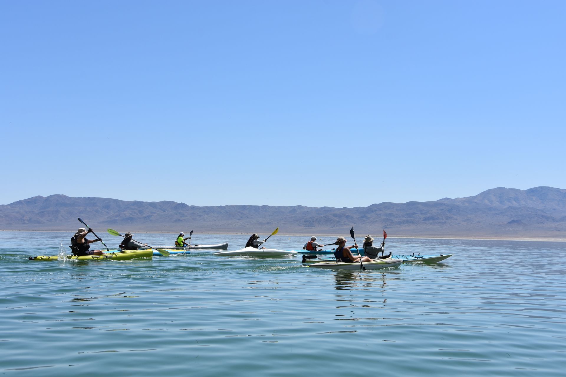 Several kayakers racing during the 2025 Walker Lake Days in Mineral County, Nevada