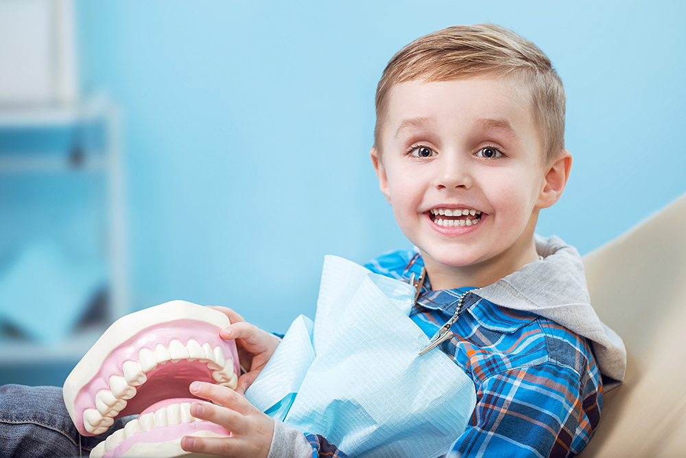 little boy holding dental teeth model smiling while sitting in dental chair