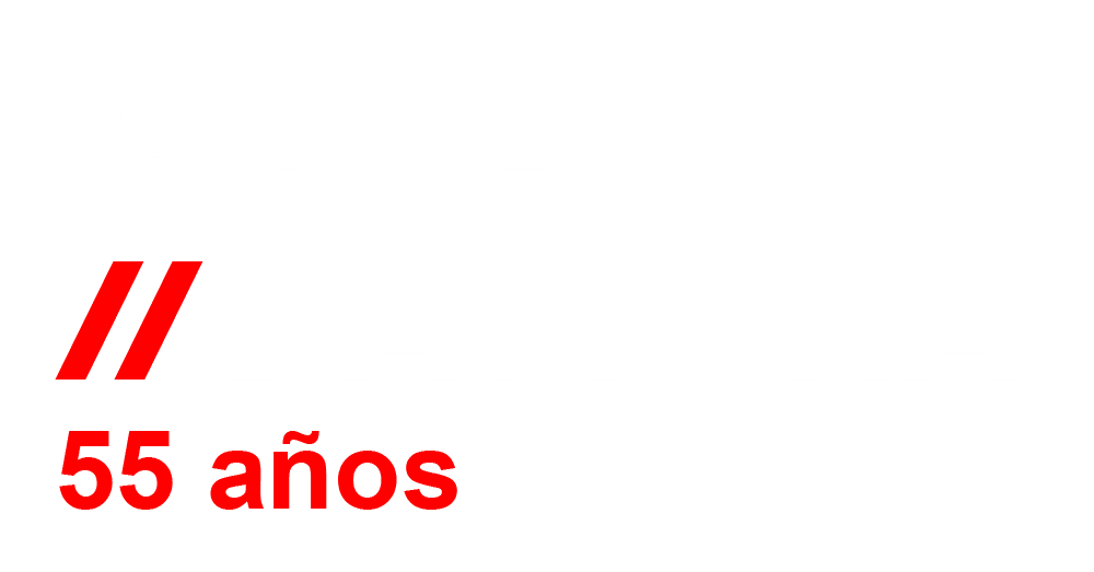 Dos barras rojas encima del texto