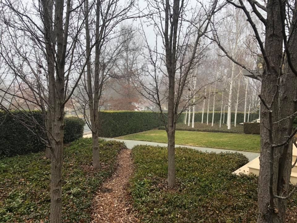 A path surrounded by trees in a park on a foggy day.