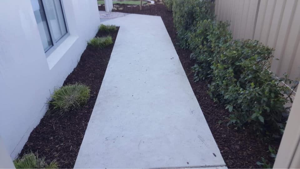 A concrete walkway leading to a house with a window